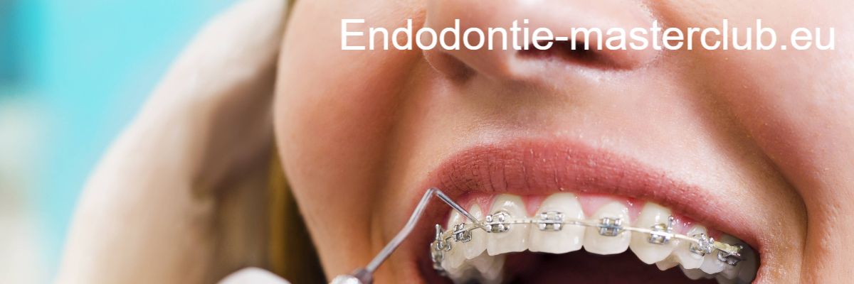 endodontie-masterclub.eu